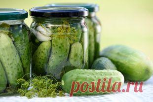 Огурцы по-венгерски | Рецепты | Кухня | Аргументы и Факты