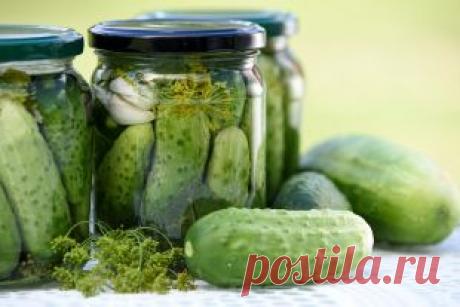 Огурцы по-венгерски | Рецепты | Кухня | Аргументы и Факты