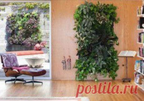 Живая стена – украшение с пользой