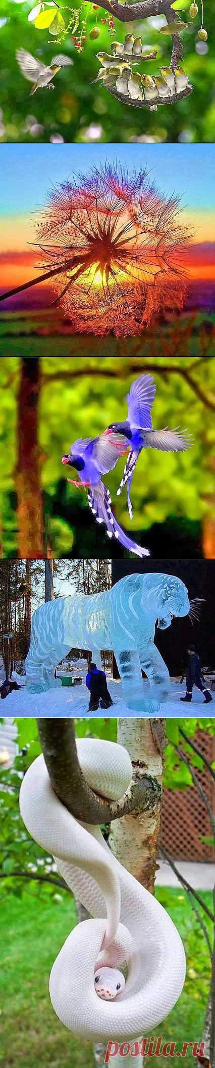 1,000,000 Amazing & Beautiful Photos ♥♥♥ – Google+
