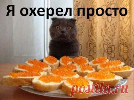 Мой Мир@Mail.Ru