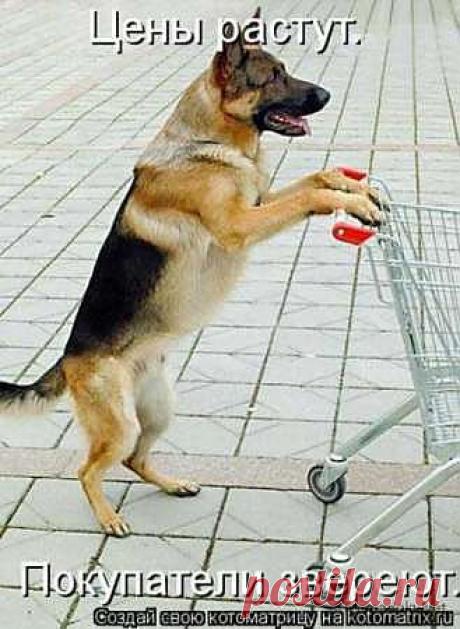 цены растут а зарплата уменьшается