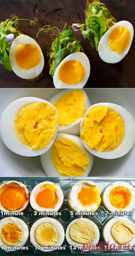 Тонкости идеальной варки яиц
