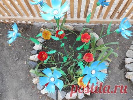 (77) Одноклассники
