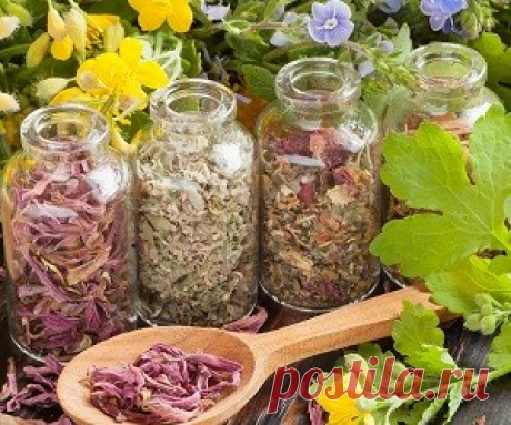 Лечение неврозов: помощь народной медицины | За чашкой чая