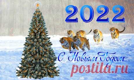 Новогоднее меню - новогодние рецепты - рецепты на Новый год 2022 | Хорошая кухня | Яндекс Дзен