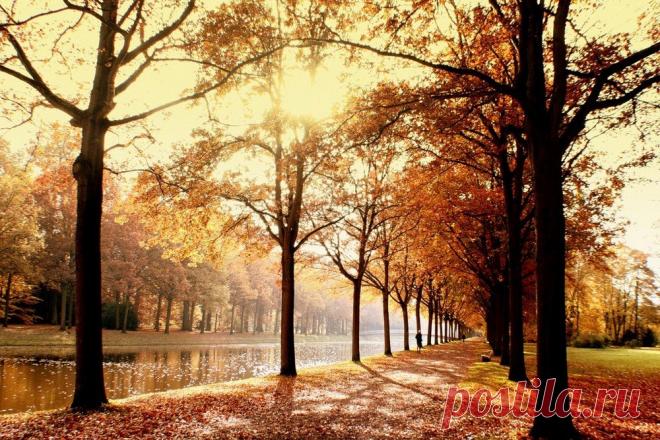 Картинки ноября (35 фото) ⭐ Забавник