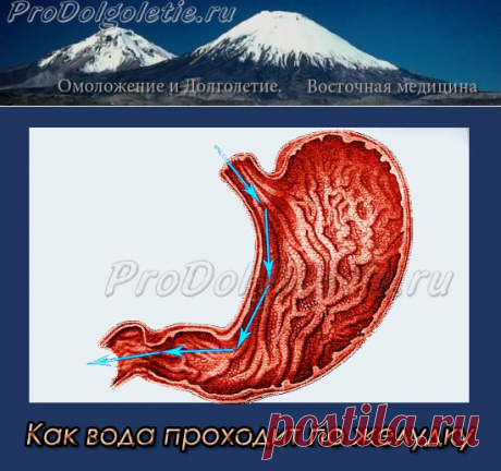 ВОДА  Самый простой секрет долголетия | Восточная медицина, омоложение и долголетие