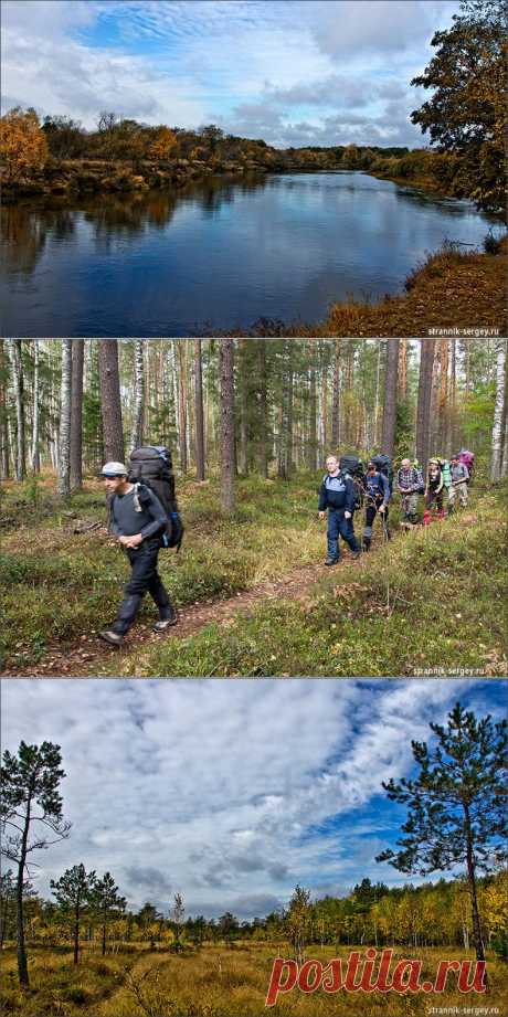 Мещера: озеро Оленье - река Большая Ушма - озеро Кендур - урочище Курилово