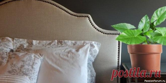 Комнатные растения. 5 домашних растений для улучшения сна Независимо от того по какой причине у вас нелады со сном, уснуть и выспаться вам помогут обычные комнатные растения, произрастающие в спальне. Сразу оговоримся, что действие у них по силе не сравнить со снотворным, принимаемым внутрь, но в какой-то мере уставшему мозгу расслабиться они...