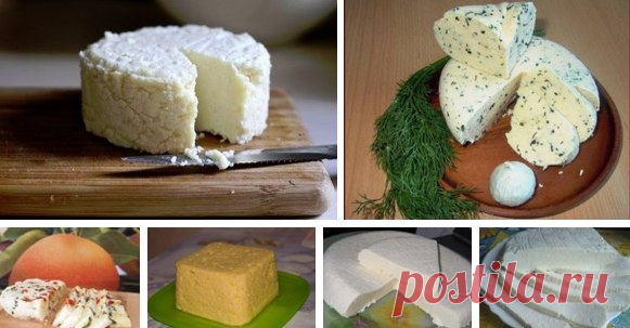 ТОР — 14 Подборка вкусных домашних сыров! — В РИТМІ ЖИТТЯ