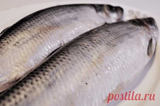 3 способа как быстро и вкусно посолить селедку в домашних условиях