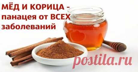ВОЛШЕБНОЕ СОЧЕТАНИЕ МЕДА И КОРИЦЫ ТВОРИТ ЧУДЕСА В НАШЕМ ОРГАНИЗМЕ!