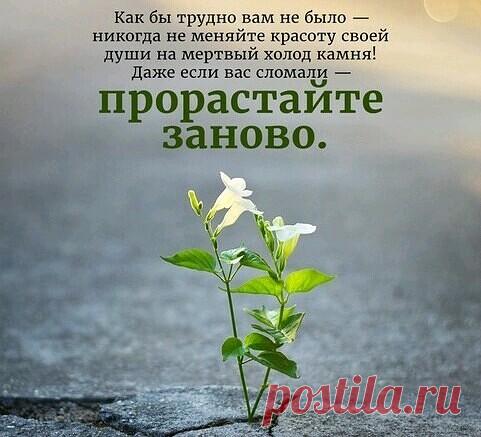 Но у человека есть одно замечательное свойство: если приходится всё начинать сначала, он не отчаивается и не теряет мужества, ибо он знает, что это очень важно, что это стоит усилий.

