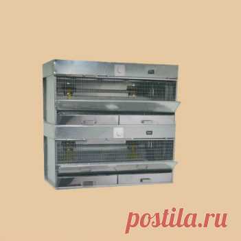 Купить брудер для цыплят в Москве в интернет магазине Клетки-Маркет цена, фото, размеры
