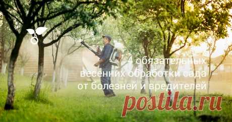 Весенние обработки сада химическими препаратыми для профилактики болезней и вредителей помогают сохранять здоровье деревьев круглый год. Чем и когда опрыскать сад, расскажем в статье.
