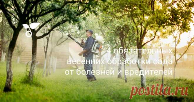 Весенние обработки сада химическими препаратыми для профилактики болезней и вредителей помогают сохранять здоровье деревьев круглый год. Чем и когда опрыскать сад, расскажем в статье.