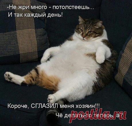Интересные новости