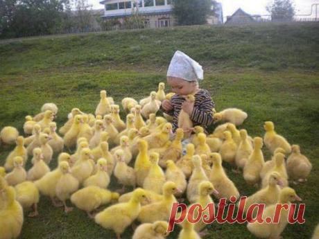 Весёлые картинки, фотографические, обо всем