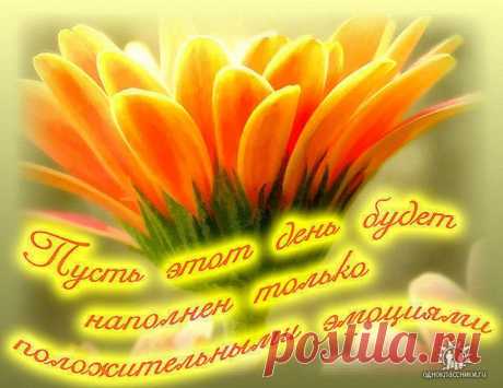 Будьте — позитивными,
Модными, спортивными,
При этом очень нежными,
И всегда успешными!