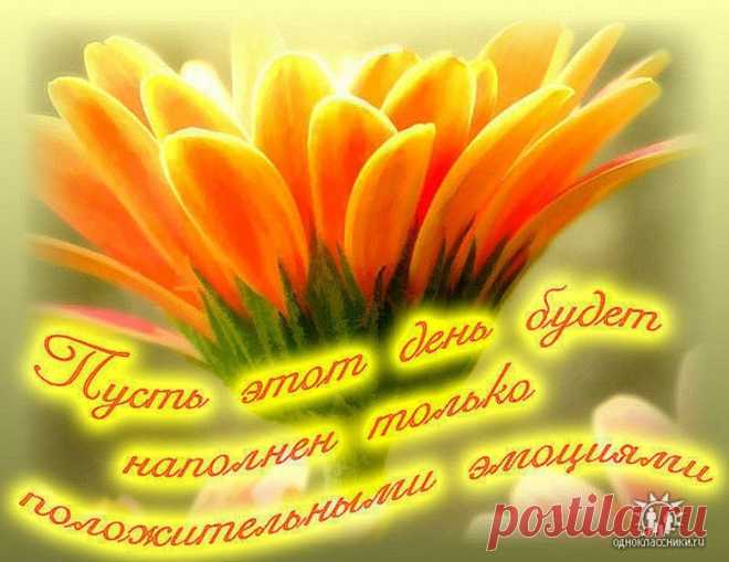 Будьте — позитивными,
Модными, спортивными,
При этом очень нежными,
И всегда успешными!