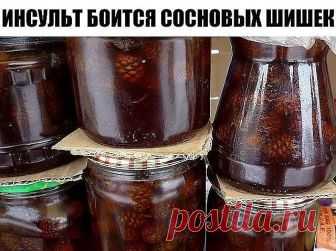 ИНСУЛЬТ БОИТСЯ СОСНОВЫХ ШИШЕК