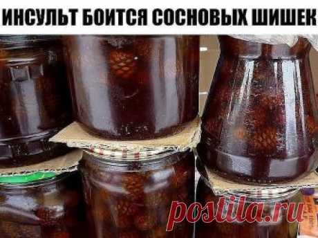 ИНСУЛЬТ БОИТСЯ СОСНОВЫХ ШИШЕК