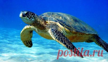 Двадцать третий лунный день. Лунный календарь в Доме Солнца