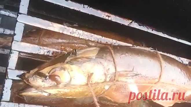 #вкуснейшаяСкумбрия