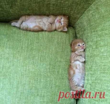 Когда поругались, и не хотите разговаривать друг с другом