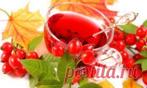 Возможно ли похудение с помощью шиповника? Домашние рецепты