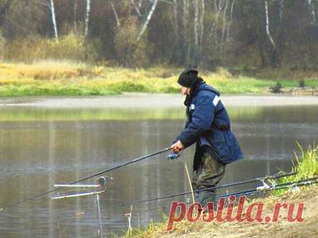 Вести с водоёмов - МирТесен