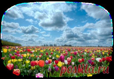 Поздравляю C Днем 8 Марта!