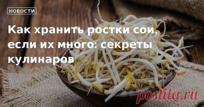 Как хранить ростки сои, если их много: секреты кулинаров 12.10.22 12.10.22 — Тхуи Дьем Фам, автор книги «Маленькая вьетнамская кухня» советует сначала тщательно промыть ростки сои, а после оставить их сушиться на 10 минут. Далее нужно по — кулинарные новости от редакции Едим Дома
