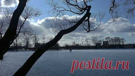 Петродворец