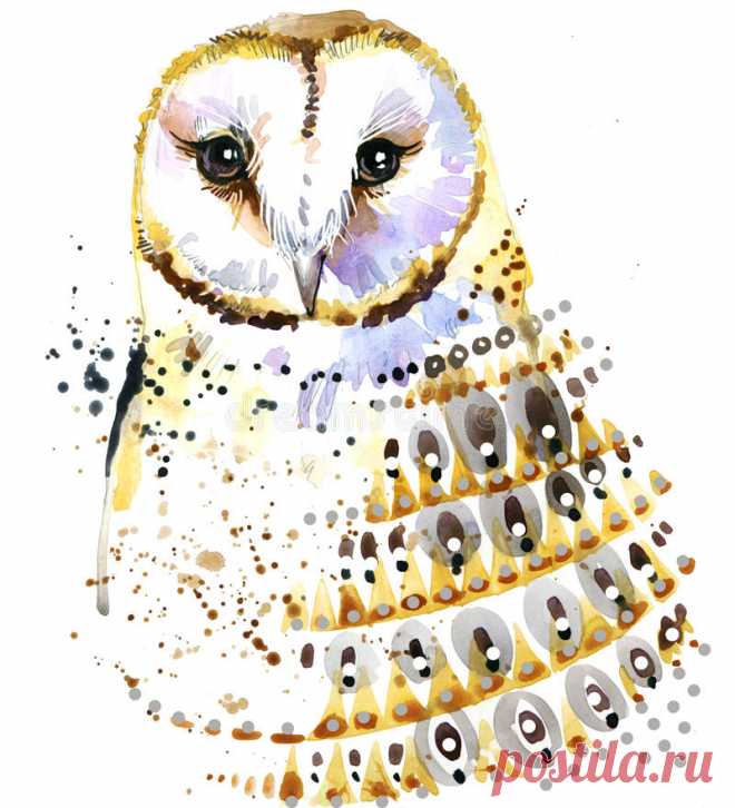 Cute Owl. Watercolor Owl. Owl Tee Shirt Illustration. Stock Illustration - Illustration of print, abstract: 69553943 Illustration about Cute Owl. Watercolor Owl. Owl Tee Shirt illustration. Ethnic background. Watercolor bird. Illustration of print, abstract, ornament - 69553943