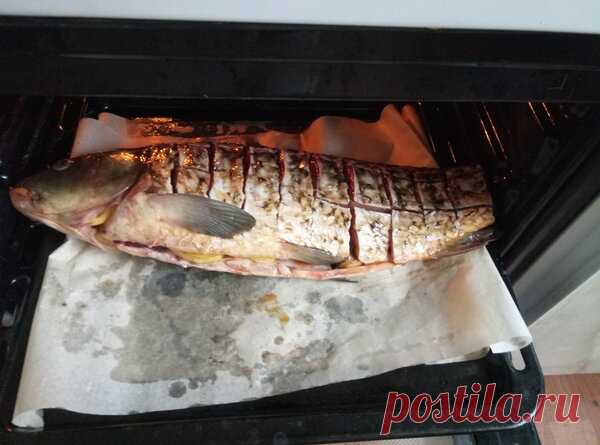 Вкуснейший сазан по Китайскому рецепту Для приготовления нам понадобится: 1. Сазан небольших размеров (до 3 кг) 2. Соевый соус 3. Пчелиный мед (нужен именно натуральный мед) 4. Картофель 5. Лук репчатый 6. Чеснок 7. Перец и соль Способ приготовления 1...