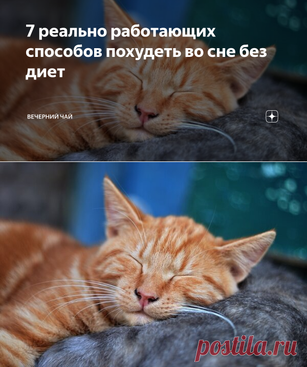 7 реально работающих способов похудеть во сне без диет | Вечерний чай | Яндекс Дзен
