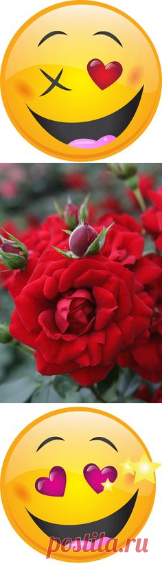 Pinterest • Всемирный каталог идей