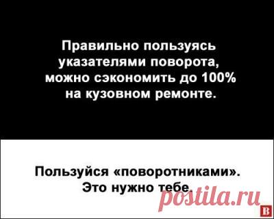 Только смешные фото из жизни людей и других животных