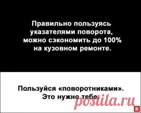 Только смешные фото из жизни людей и других животных