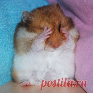 Страх трусливого пессимиста вечно занят тем, что придумывает новые поводы проявить себя. Именно так ведет себя главный герой моей басни в стихах.