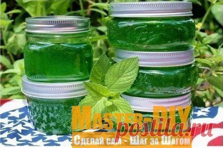 Варенье из мяты