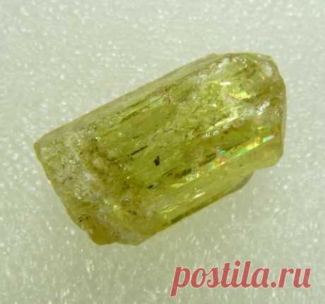 Golden-Green Apatite Crystal