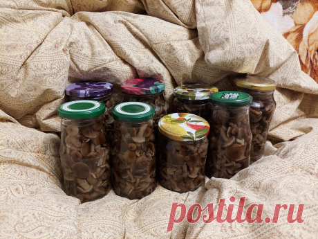 Как замариновать опята так, чтобы получилось очень вкусно? 2 рецепта без уксуса | грибной критик | Дзен