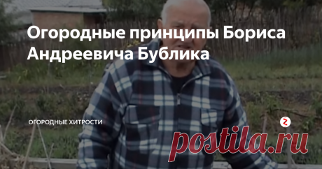 Огородные принципы Бориса Андреевича Бублика Мастер огородной пермакультуры, он пропагандирует методы "ленивого" садоводства