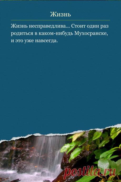 Цитата про «Жизнь» — Жизнь несправедлива... Стоит один раз родиться в…