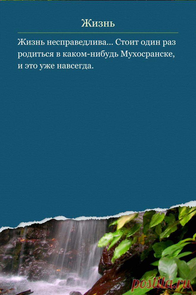 Цитата про «Жизнь» — Жизнь несправедлива... Стоит один раз родиться в…