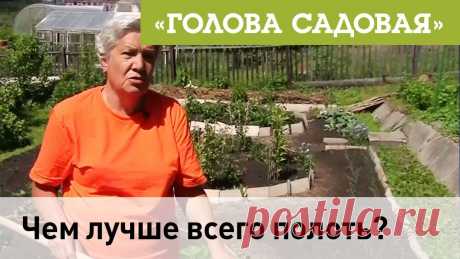 Тетя таня про тяпку стриж Блог по вязанию для начинающих и опытных вязальщиц Ваш ресурс номер один для обучения вязанию спицами. Блог, посвященный бесплатным выкройкам, видео по вязанию, пряже и всему, что нужно для этого удивительного хобби.