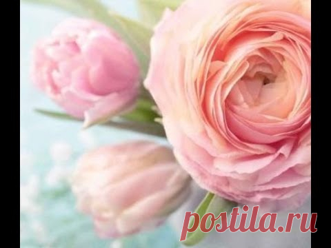 Открытый онлайн мастер-класс Татьяны Броницкой